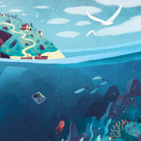 Velocities_Sleepy Fish