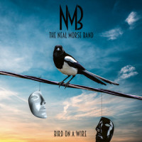 Bird on a Wire_The Neal Morse Band