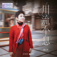 川流不息_董文华