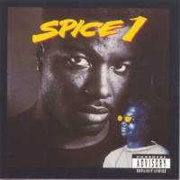 ****ed In the Game_Spice 1