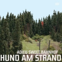 47 11_Hund am Strand