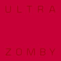 Reflection_Zomby
