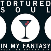 In My Fantasy_Tortured Soul