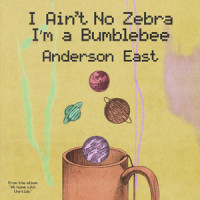 I Ain't No Zebra I'm a Bumblebee_Anderson East