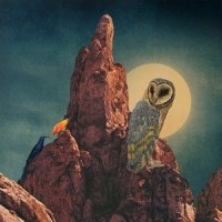 PERCH_BEN BEAL