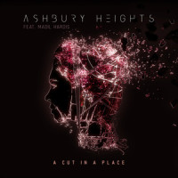 A Cut in a Place_Ashbury Heights,Madil Hardis