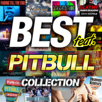 Fading Till The End_Lotus,Pitbull,Shawn Lewis