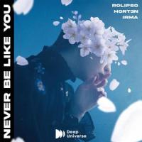 Never Be Like You_Rolipso,Hort3n,Irma,Rocco Scribano,IRMA FREDRIKA LUNDBERG,Oscar Ludvig Lindberg