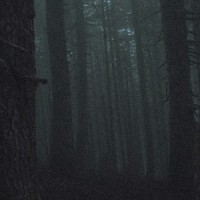 SATIVA DREAMS // BLEEDING TREES (feat. KIRA)_ANKHH,Kira