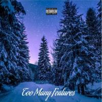 Too Many Features_Winter,EA Dotta,Ninnie Non,DaboiiDex