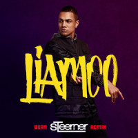 Burn_LIAMOO