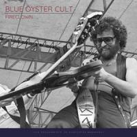 Dr. Music_Blue Oyster Cult