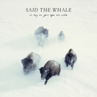 More Than Ever_Said The Whale