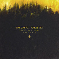 What Beauty_Future of Forestry