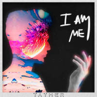 Invincible_Taymer,DEAF KEV