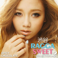 つかみとれ_SPICY CHOCOLATE,BIGGA RAIJI,J-REXXX,Chrono Trigger