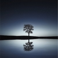 Alpha Waves_Rainfall,Classical Study Music,Spa