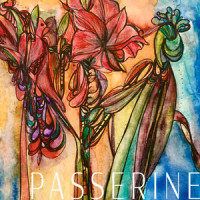 Wonderwall_Passerine,Jill Stevenson,Red Sky July,Ailerons,The Alice Band