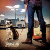 She's Gone(feat. Matt Schofield)_Federico Luiu,Matt Schofield