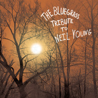 Sugar Mountain_Pickin' On Series,Neil Young