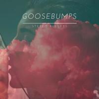Goosebumps_Stereo Bullets