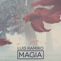Perfecta(Bonus Track)_Luis Ramiro,Conchita