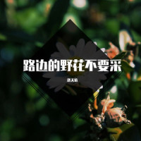 路边的野花不要采_洛天依