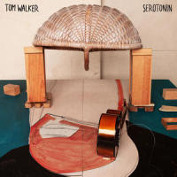 Serotonin_Tom Walker