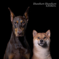 ふたつの星_Humbert Humbert