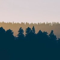 Meditative Music_Sleepy Times,The Sleep Specialist,Relajacion Del Mar