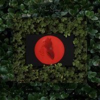 insula_Moses Sumney