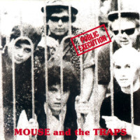 A Public Execution_Mouse and the Traps