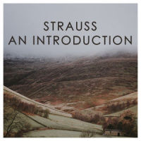 J. Strauss II: An der schönen blauen Donau, Op. 314_Berliner Philharmoniker,Ferenc Fricsay