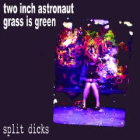 Ain't I Look Pretty To You?_Two Inch Astronaut