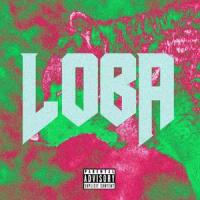 Loba(feat. Daka)_Tiago PZK,Daka