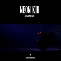 Flamingo_NEON KID,Bruses