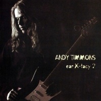 Sometimes I_Andy Timmons