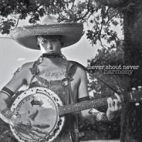 Piggy Bank_Never Shout Never