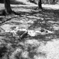 So Humble the Afternoon_Julia Holter