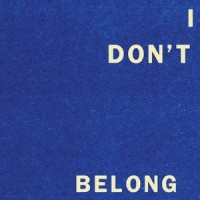 I Don't Belong_FONTAINES D.C.