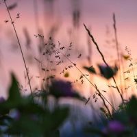 Treat Yourself_Monarch Baby Lullaby Institute,Mindfulness Meditation World,Sleepy Times