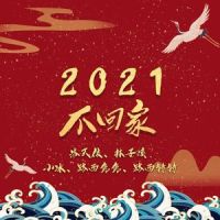 2021不回家_洛天依