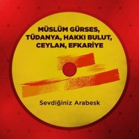 Ah Bir Bilsen_Müslüm Gürses,Tüdanya,Hakkı Bulut,Ceylan,Efkariye