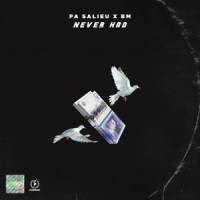 Never Had_Pa Salieu,BM