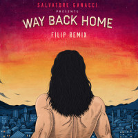 Way Back Home_Salvatore Ganacci,Sam Gray
