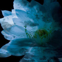 IN MY DREAM(WITH SHIVER) LM.C_Luna Sea
