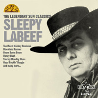 Stormy Monday Blues_Sleepy LaBeef