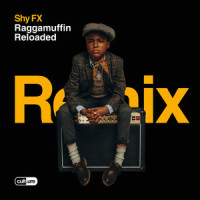 Warning (feat. Gappy Ranks)_Shy Fx,Gappy Ranks