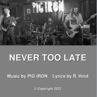 Never Too Late_Pig Iron