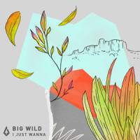 I Just Wanna_Big Wild